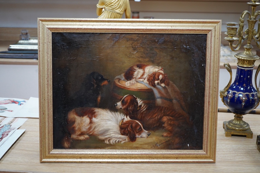 George Smythe (19th. C), oil on canvas, Study of four spaniels in an interior, signed, 35 x 45cm, gilt framed. Condition - poor